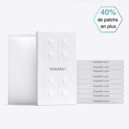 Lot de 600 patchs VidalAir